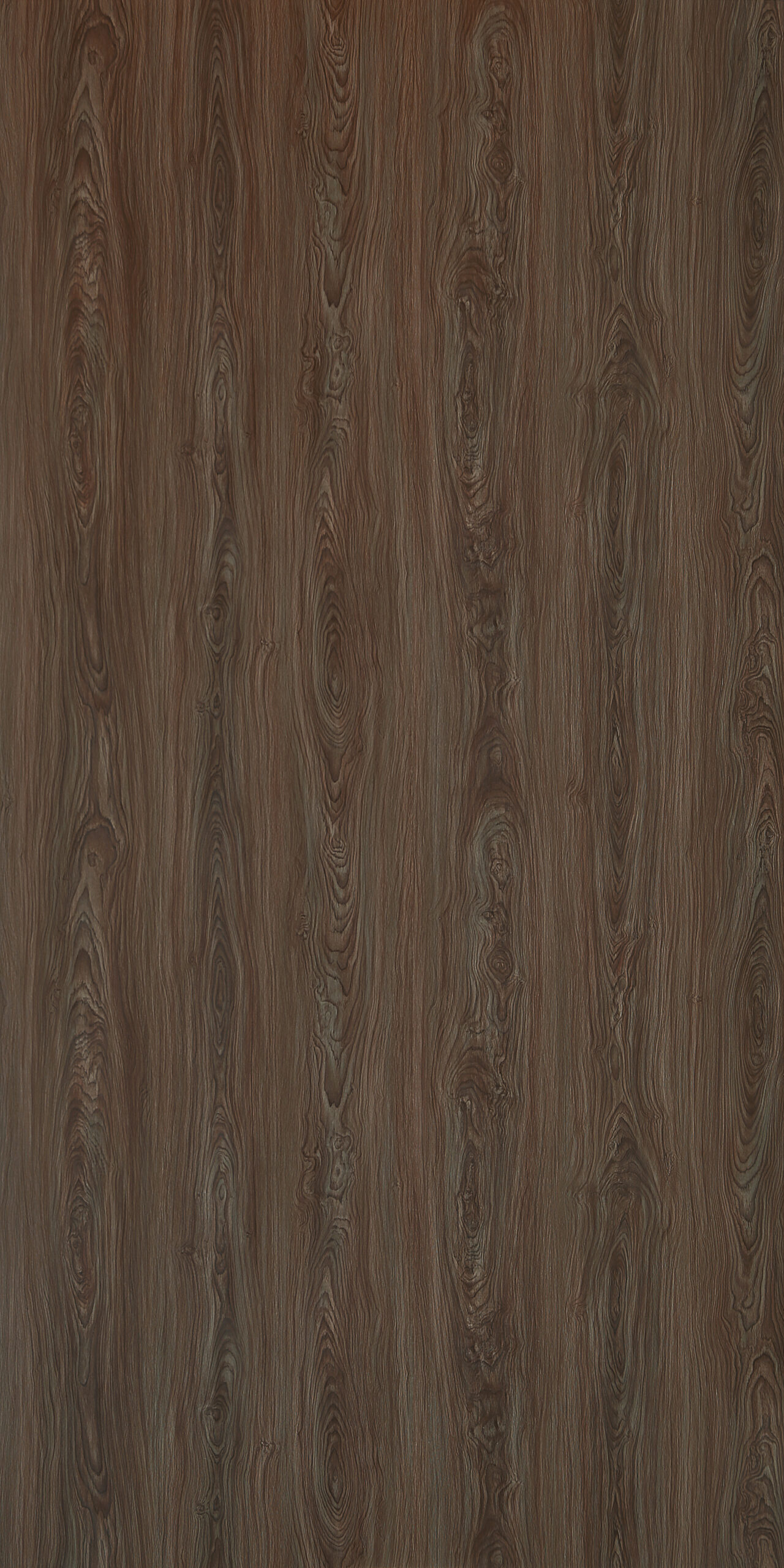 American Walnut