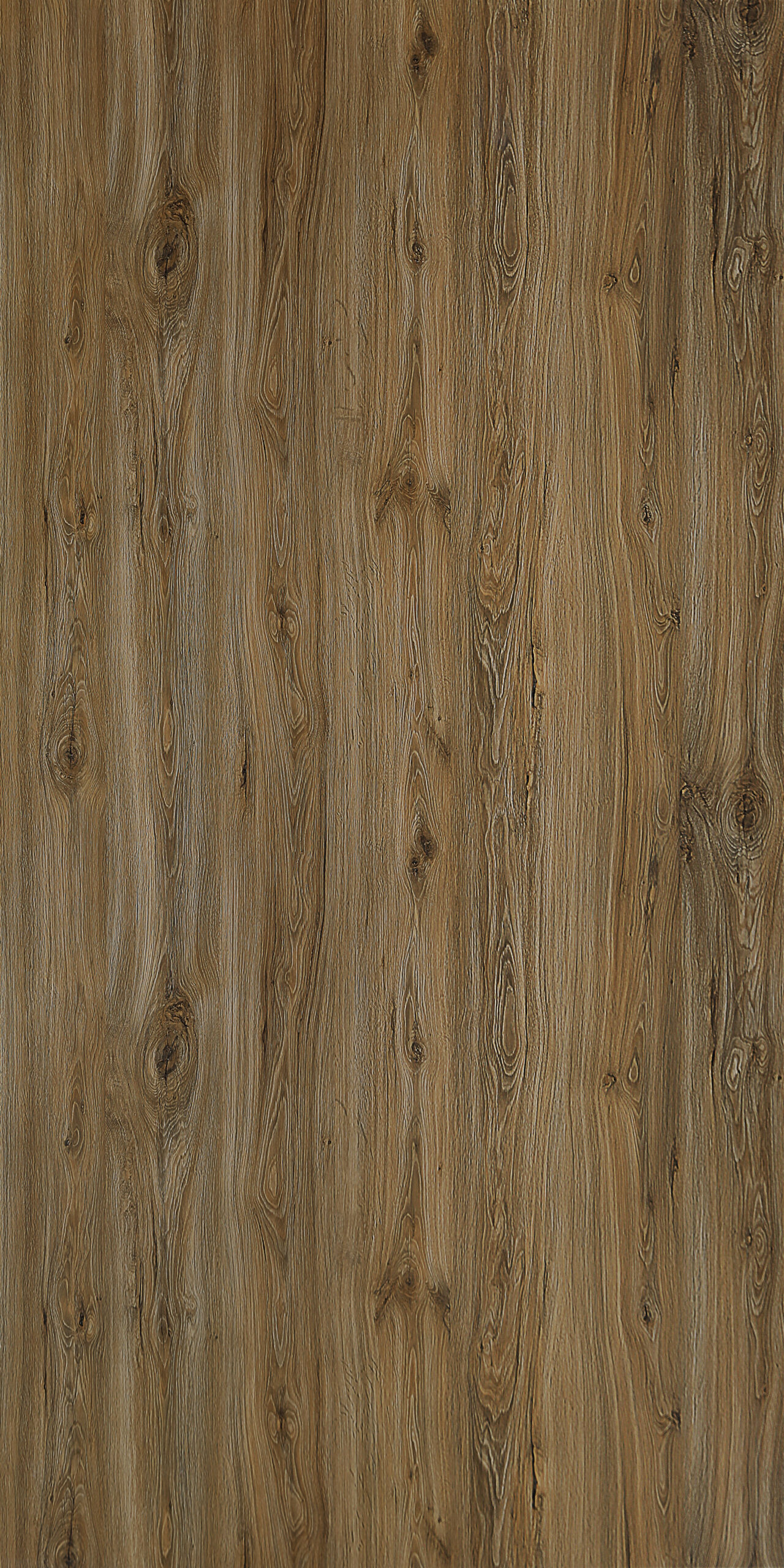 CTG Teak