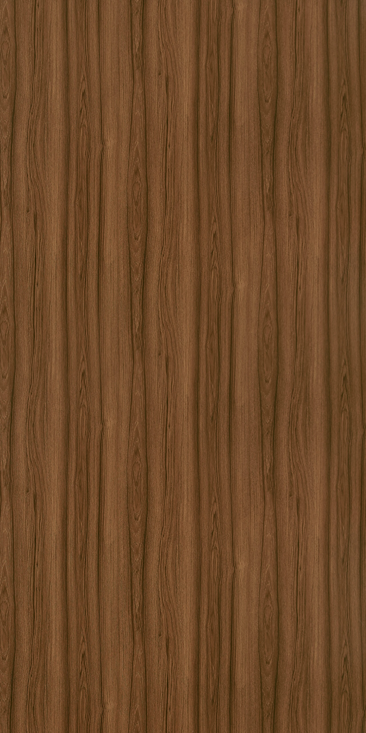 Prome Teak
