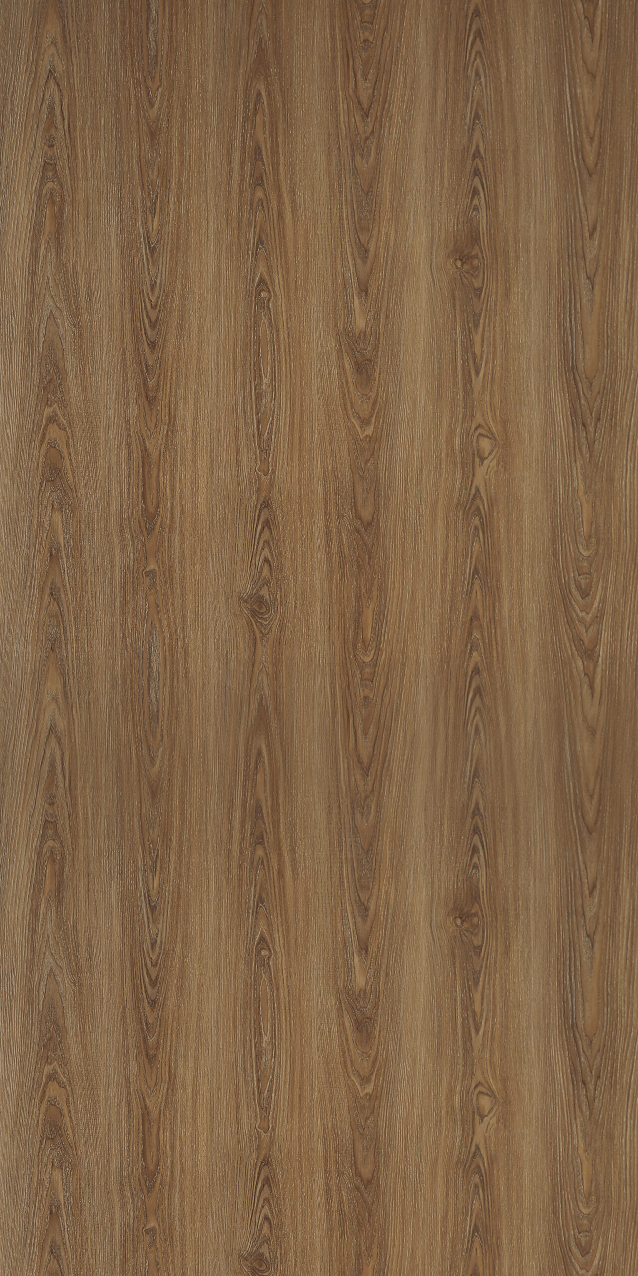 Red Oak